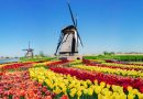 Kultur- und Gartenreise nach Holland