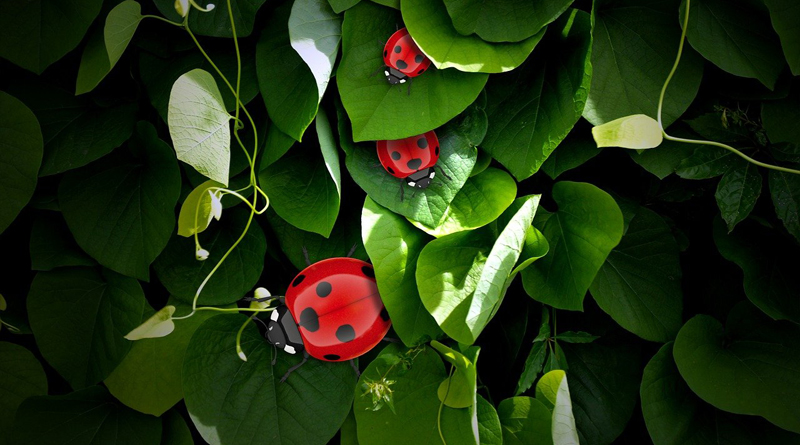 Ein gutes und gesundes neues Jahr!