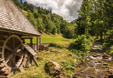 Schwarzwald (kein EZ-Zuschlag)